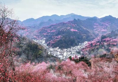 Huizhou Fish Lantern & Plum Blossom Trek