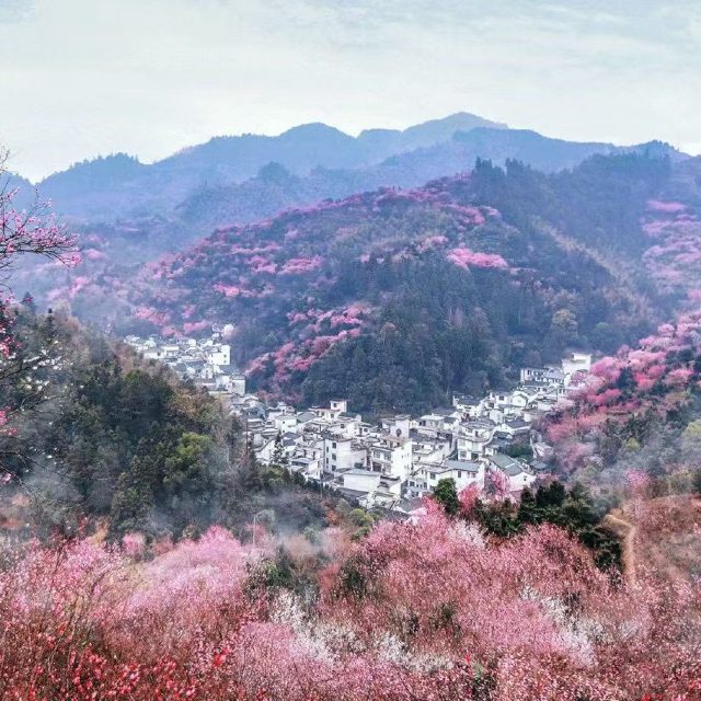 Huizhou Fish Lantern & Plum Blossom Trek