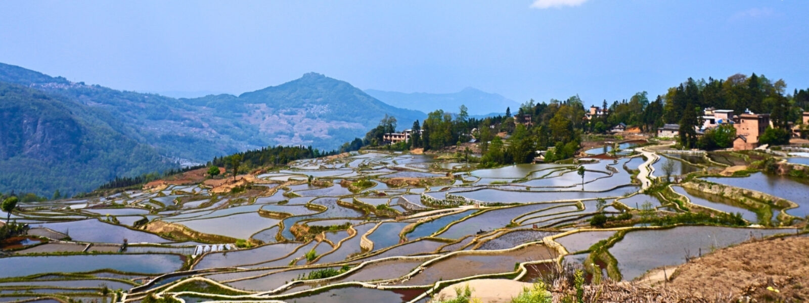 Natural Scenery